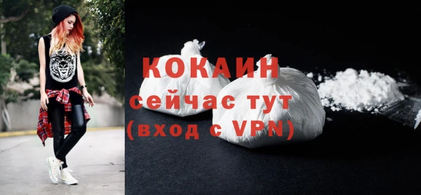 индика Наволоки