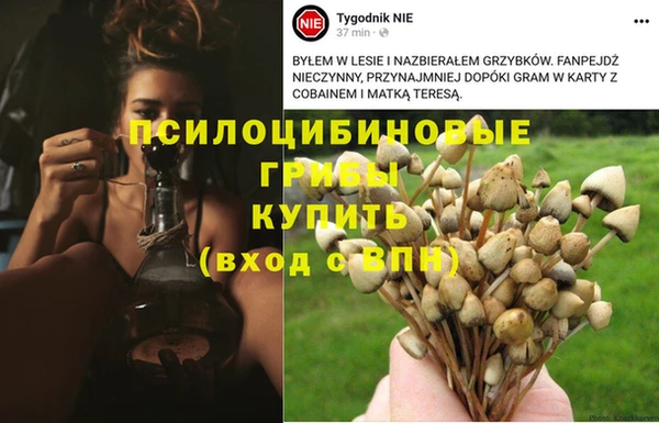 каннабис Надым