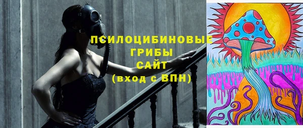 ешки Медногорск
